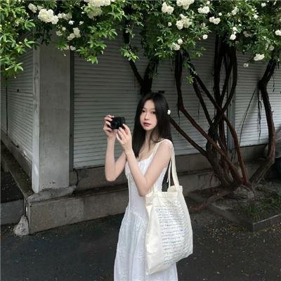 南极物语