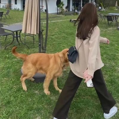 义勇七先锋